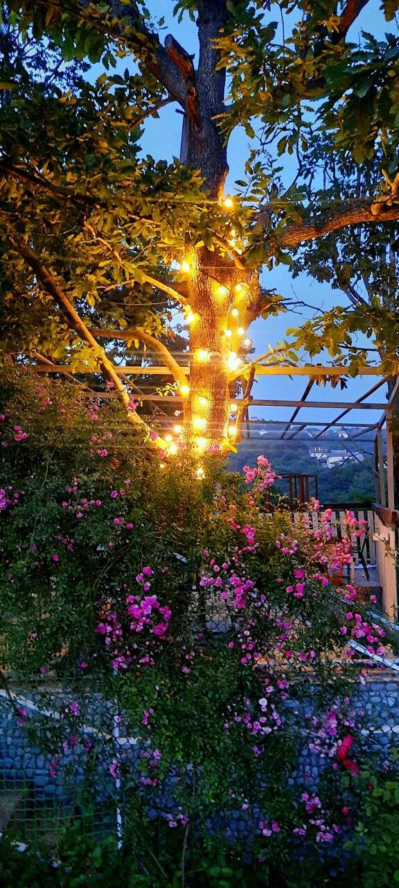 Фото Гостевого дома Дубовая Роща Туапсе 60