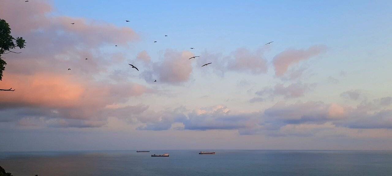 Фотографии номера Семейный номер в Гостевом доме Дубовая Роща Туапсе