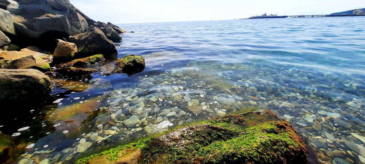 Фото Гостевого дома Дубовая Роща Туапсе 8